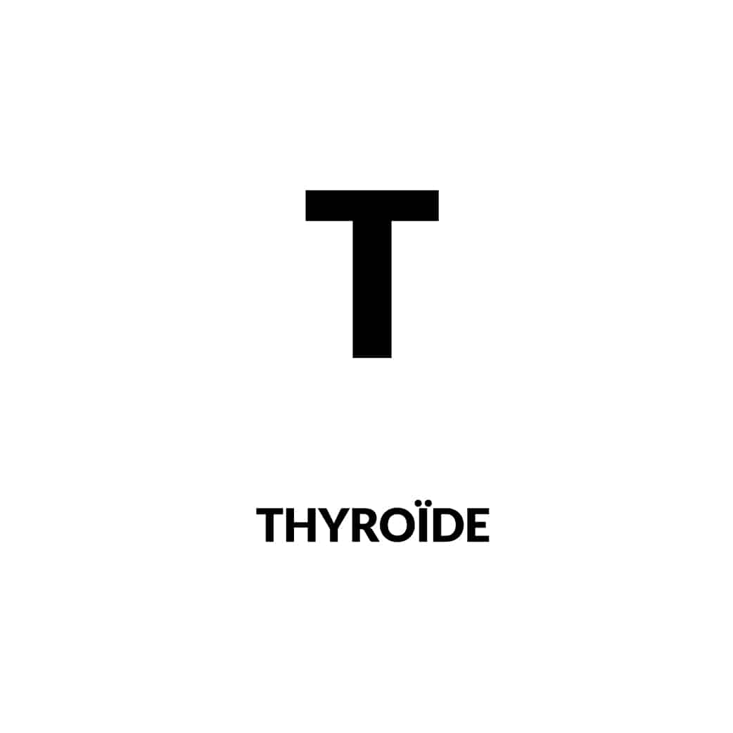 <a href="https://chru-orl-cmf-montpellier.com/les-activites/">Thyroïdologie interventionnelle </a>